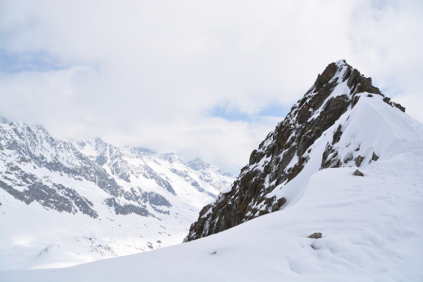 Der Stachel Hans aus Südtirol