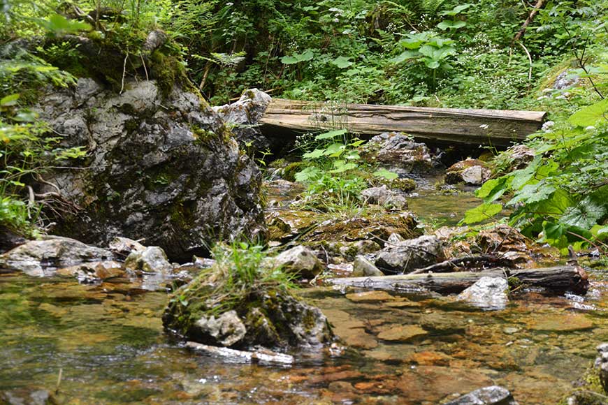 Kaffeeklatsch mit Königsblick