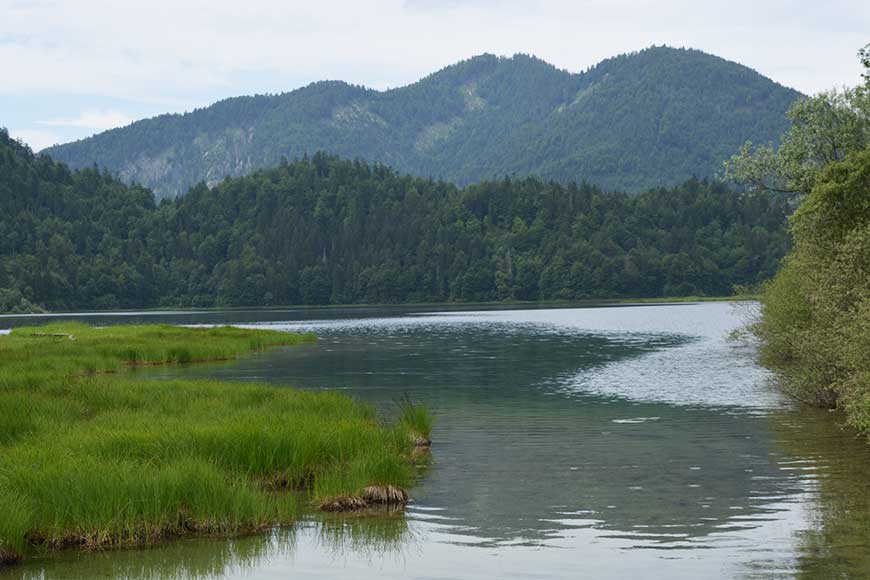 Kaffeeklatsch mit Königsblick