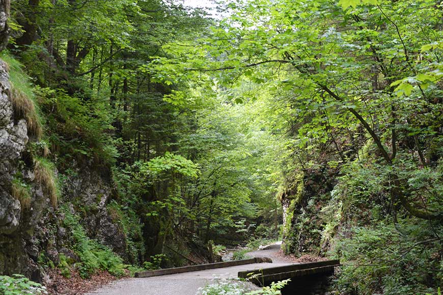 Kaffeeklatsch mit Königsblick
