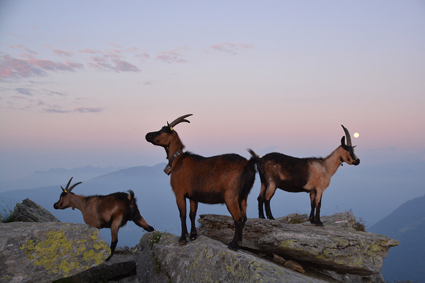 Warten auf die Sonne