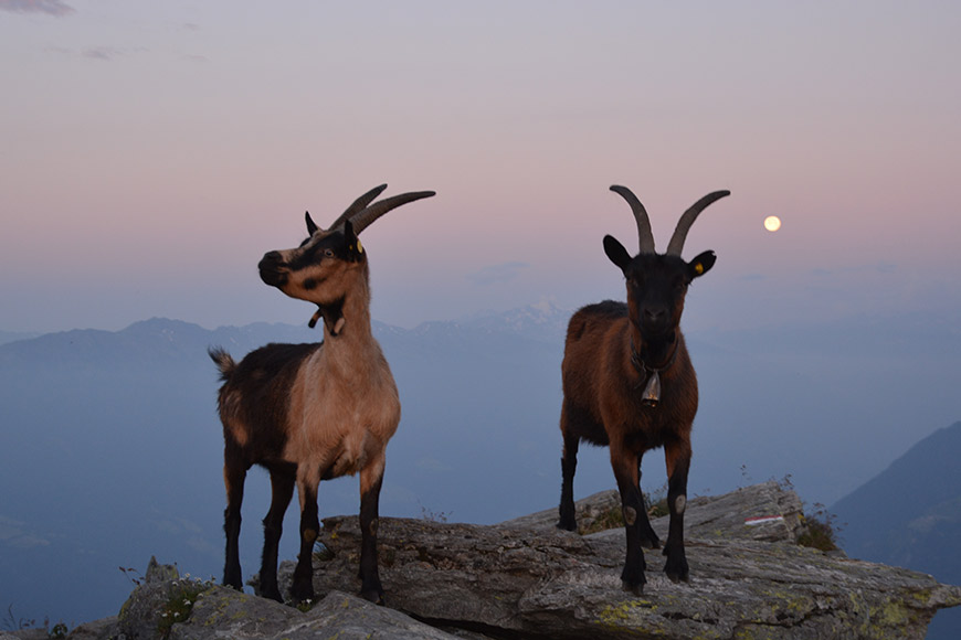 Warten auf die Sonne