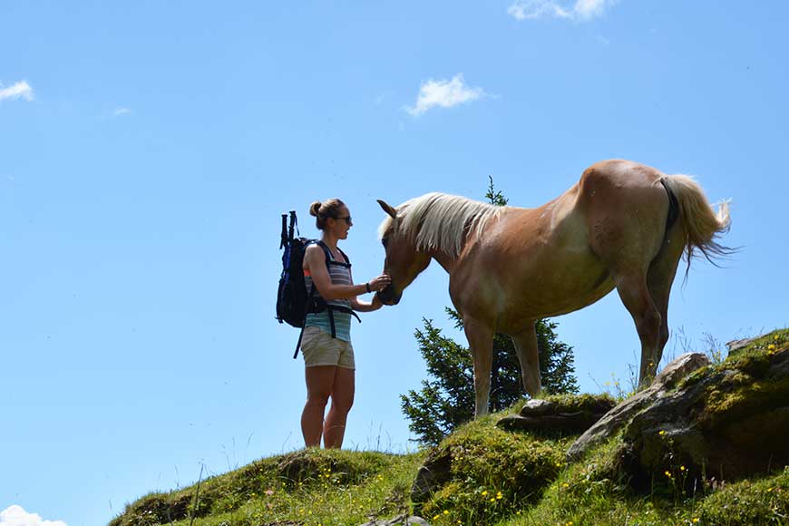 Miramonti – Einblicke und Ausblicke