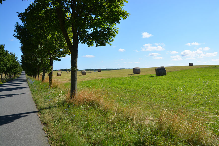 Mit Gegenwind zur Sonneninsel