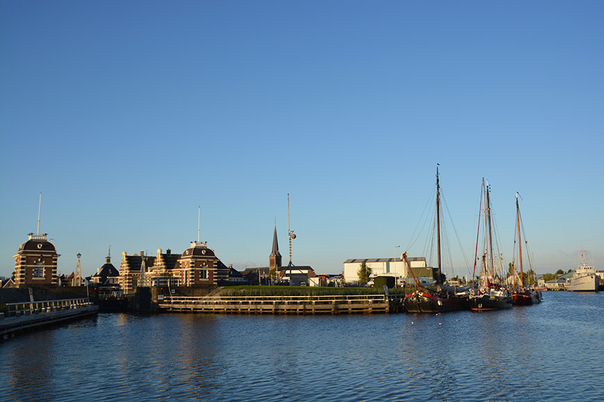Rasmus, altes Rübenschwein