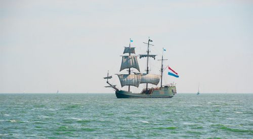 Rasmus, altes Rübenschwein