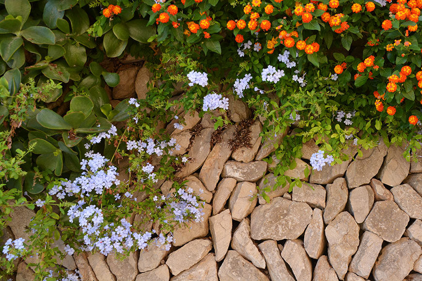 The very beaten Tracks of Mallorca