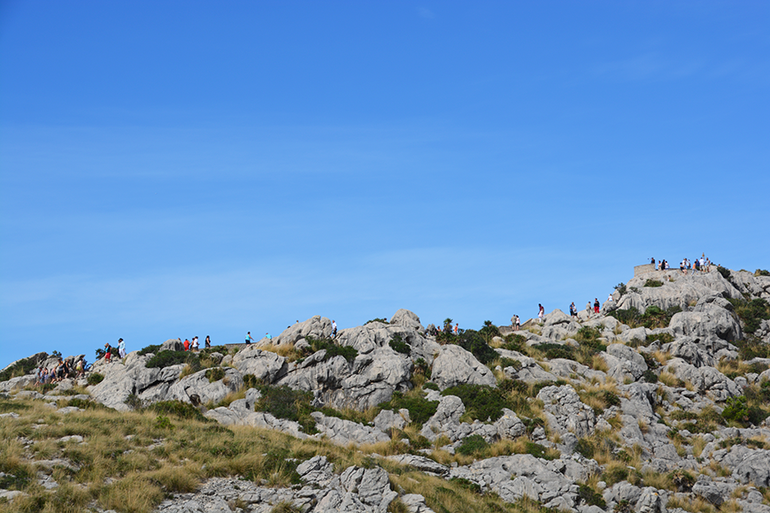 The very beaten Tracks of Mallorca