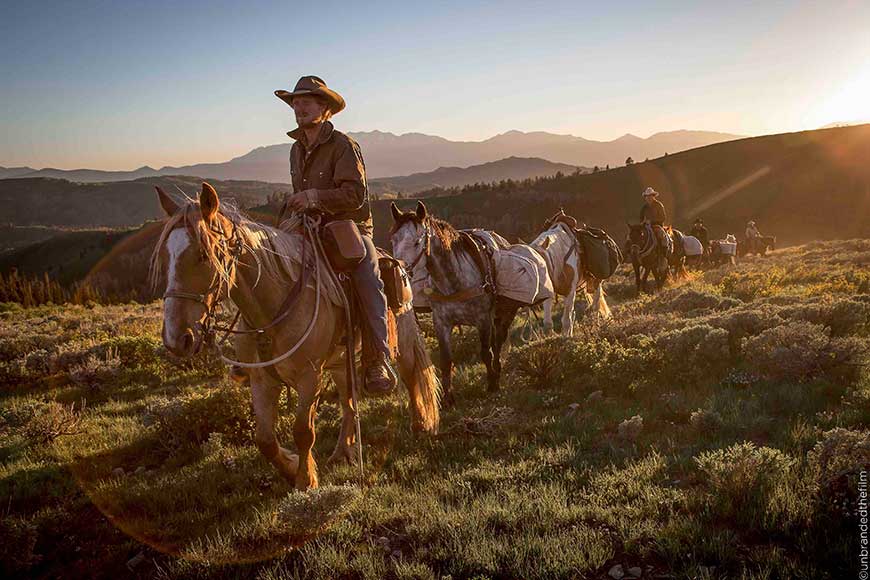 Fällst du noch oder fliegst du schon?