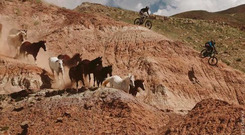 Fällst du noch oder fliegst du schon?