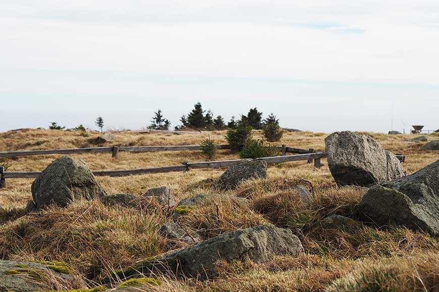 Keanu, geh weg von die Mauer – unterwegs im Harz