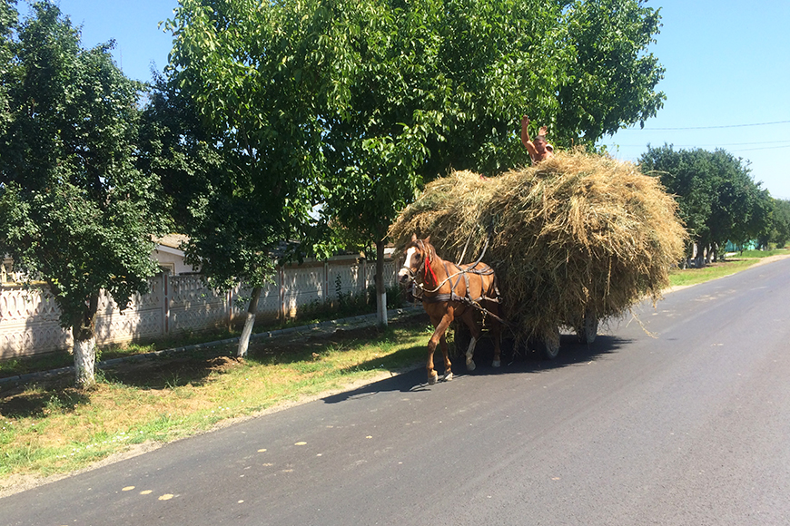 Radeln auf der Balkanroute