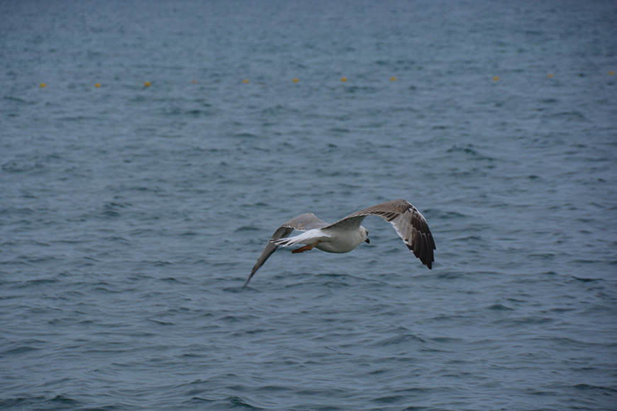 Sonnengruß aus Kroatien