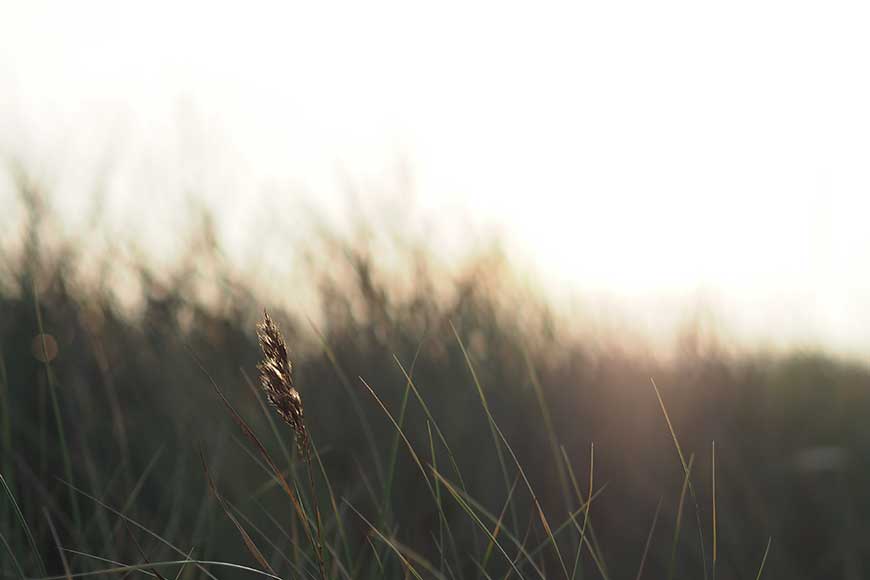 In einem Meer aus Dünen