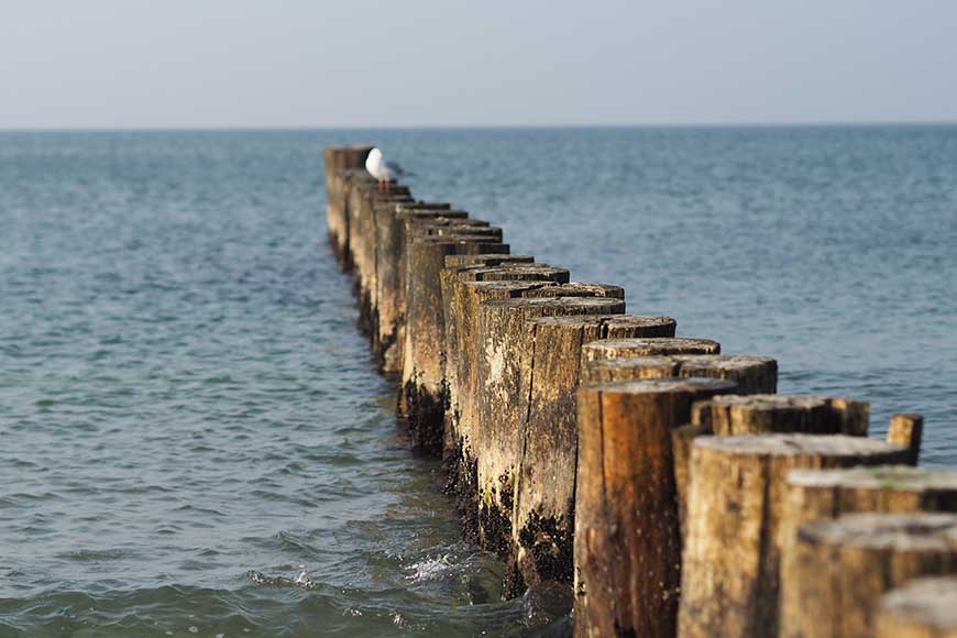 In einem Meer aus Dünen