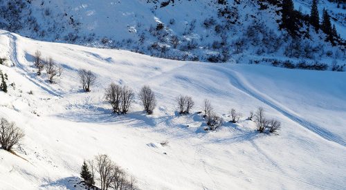 Das wichtigste: Tu es!