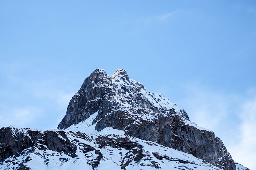 Live is great. Stay alive.