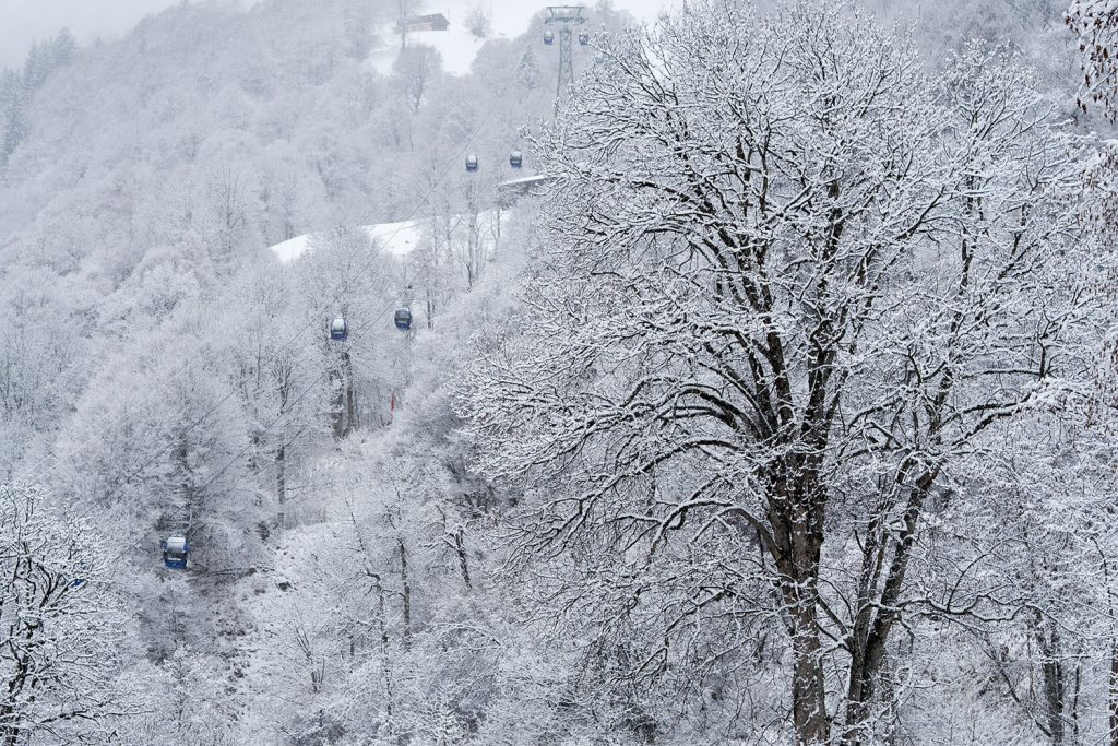 Davos – verwandte Seelen am Hang