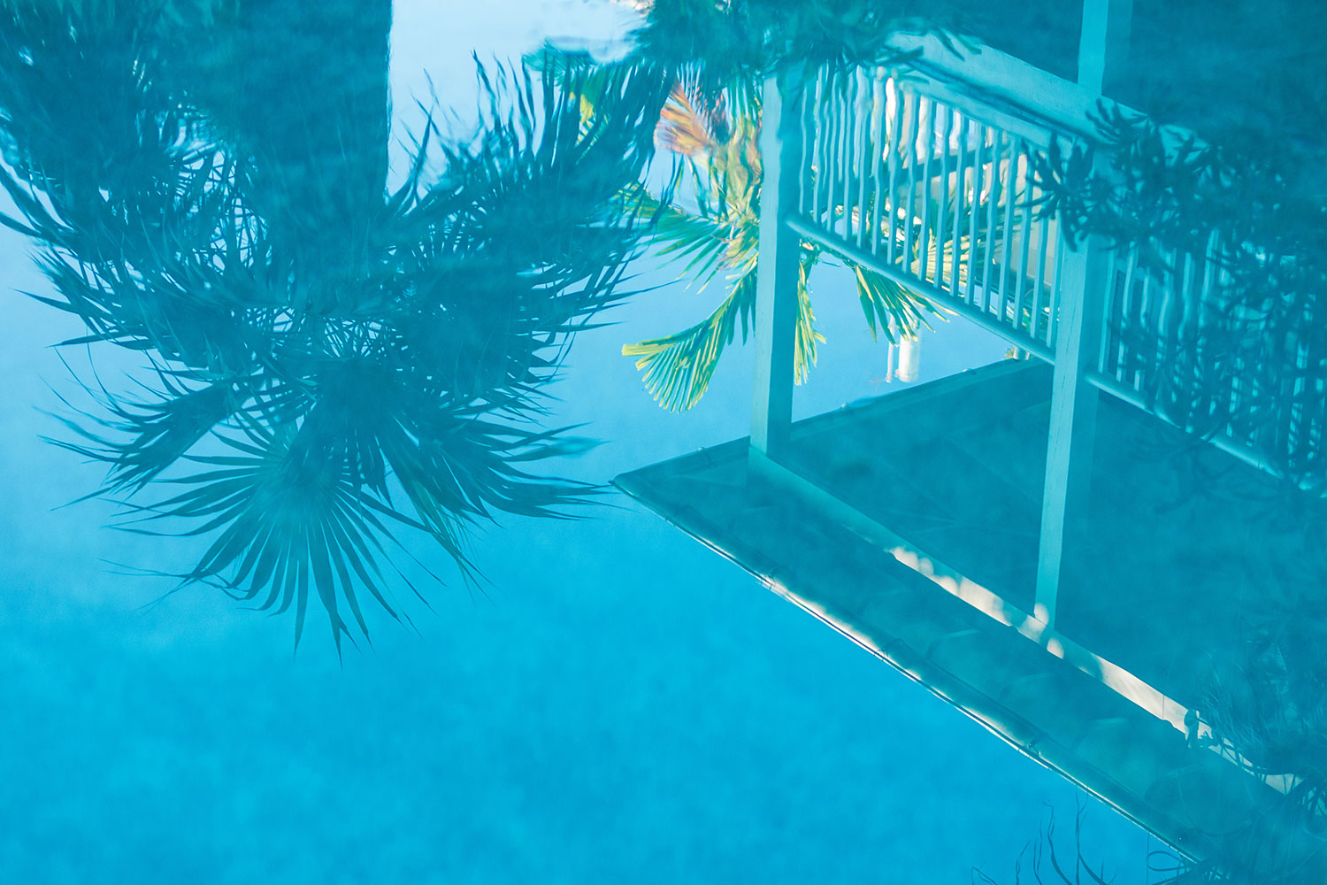 Der Zauber von Key West