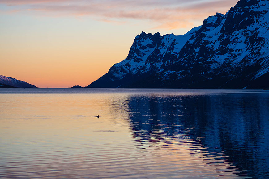 5 Skitour highlights in Lyngenfjord