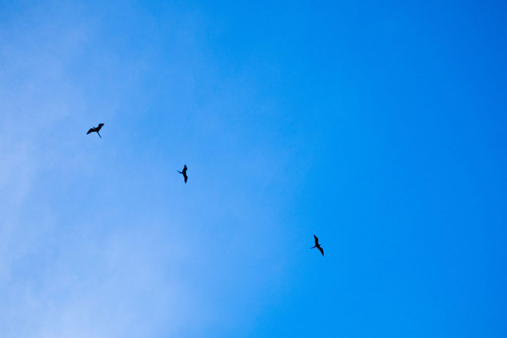 Der Zauber von Key West