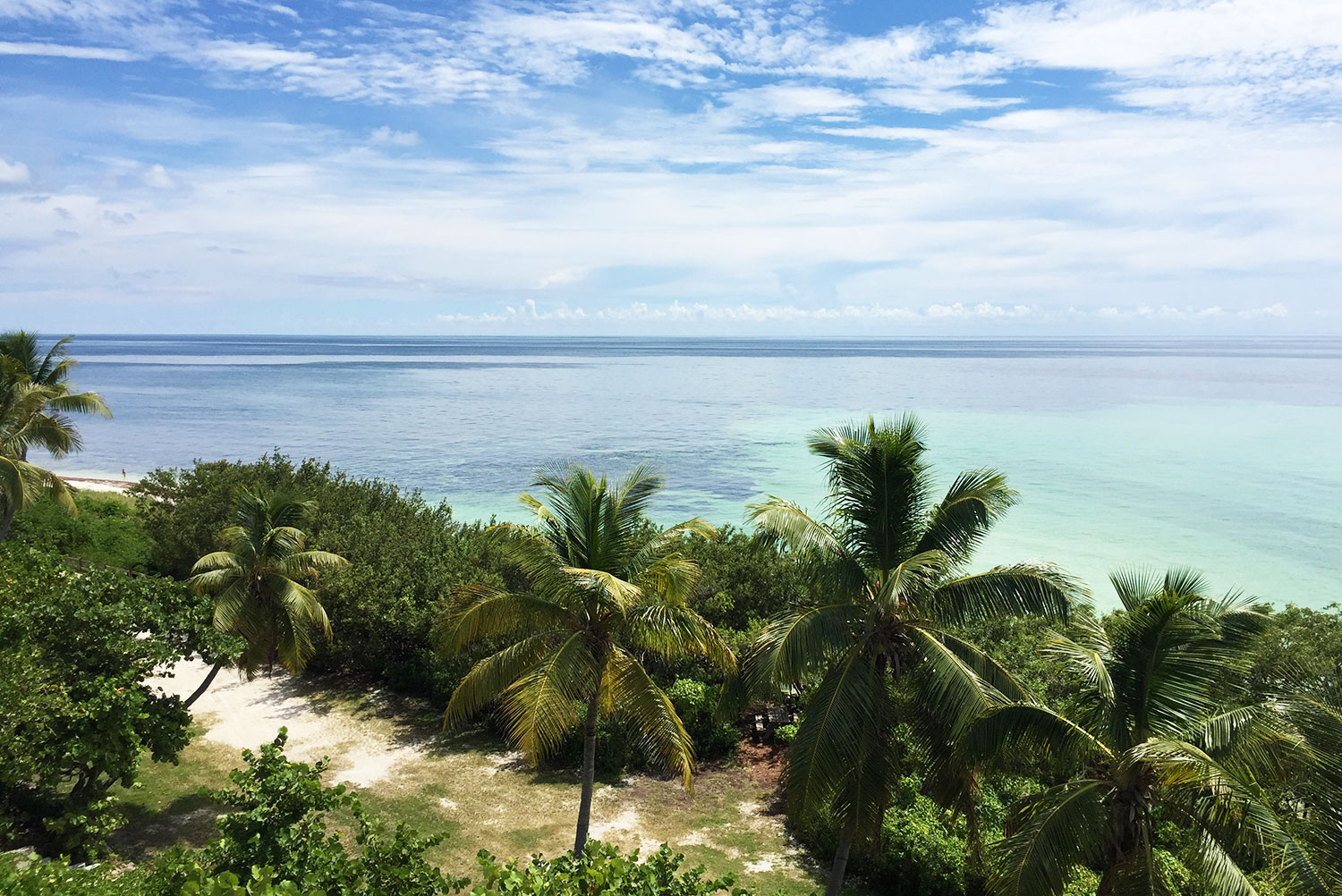Florida Keys – Roadtrip with Flamingos