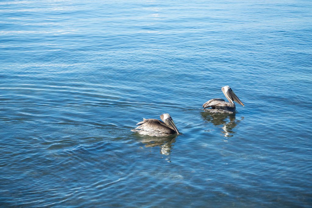Der Zauber von Key West