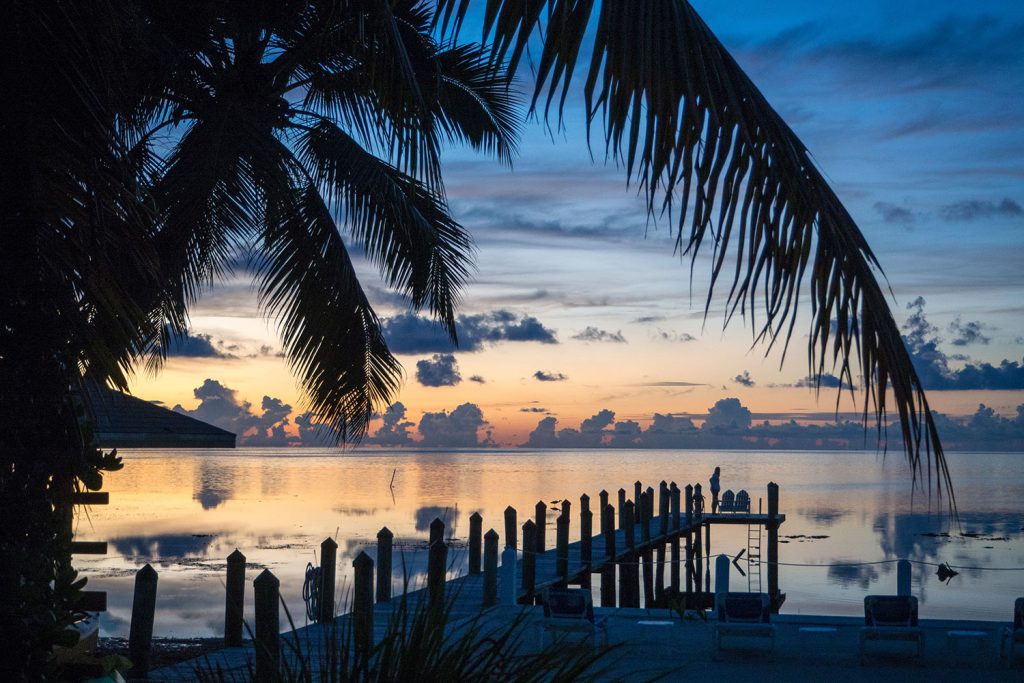 Florida Keys – Roadtrip with Flamingos