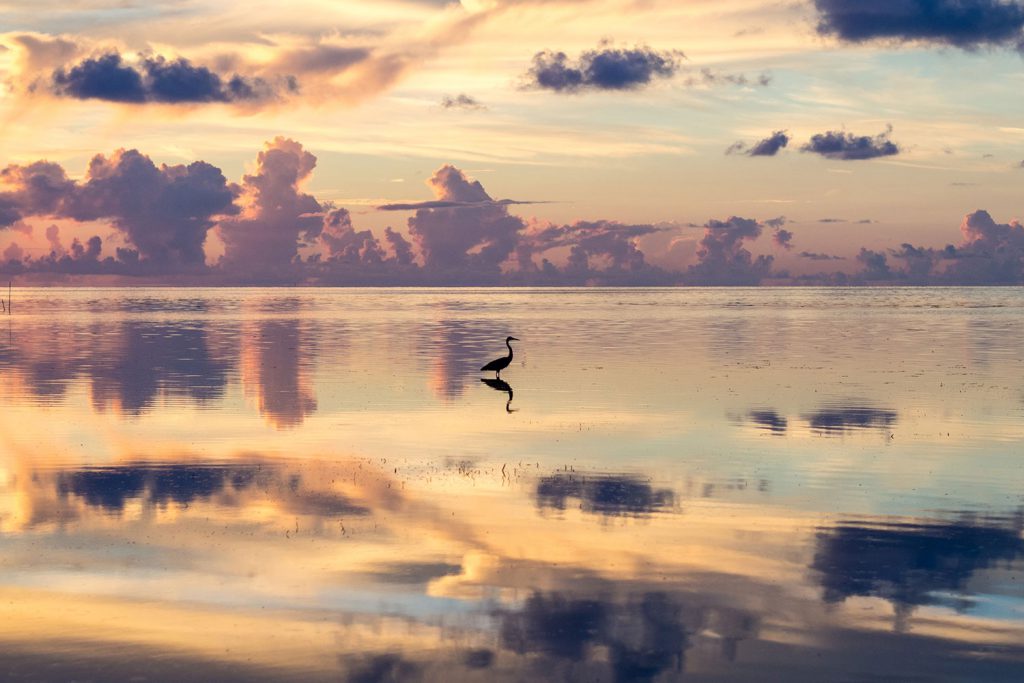 Florida Keys – Roadtrip with Flamingos