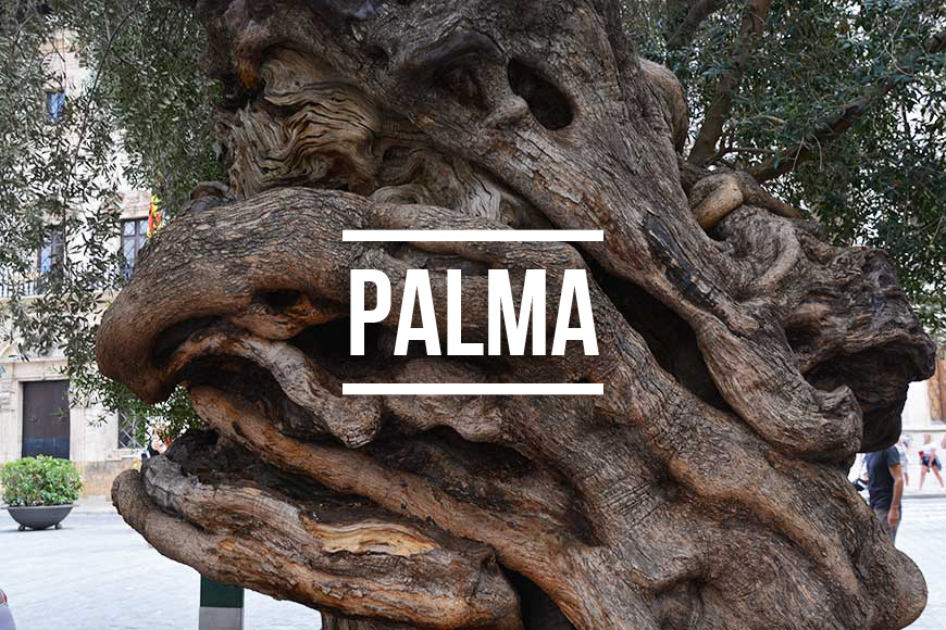 Top 5 Citytrips im Frühling