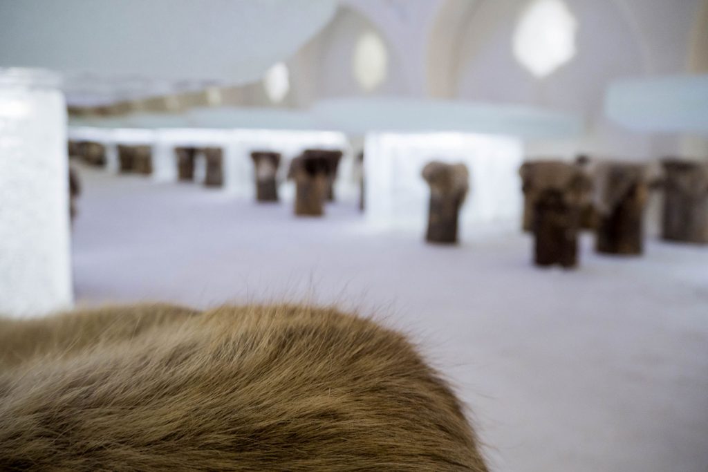 Was man (nur) in Lappland erleben kann