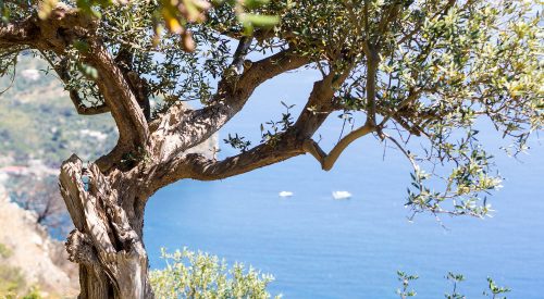 Sonne satt am Golf von Neapel