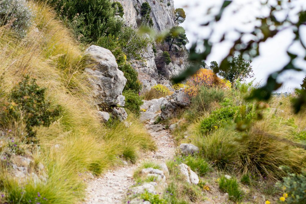 Baia di Leranto – Trail mit Belohnung