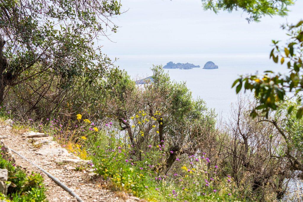 Baia di Leranto – Trail mit Belohnung