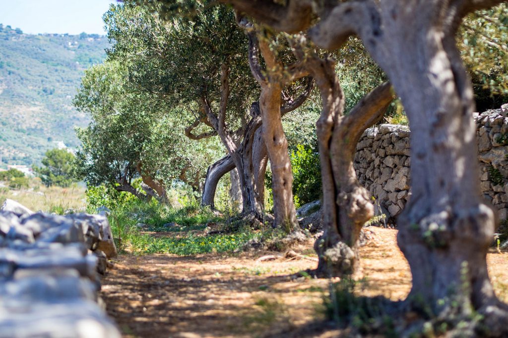 Baia di Leranto – Trail mit Belohnung