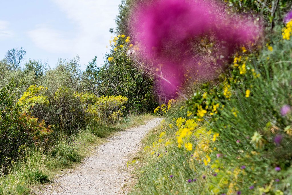 Baia di Leranto – Trail mit Belohnung
