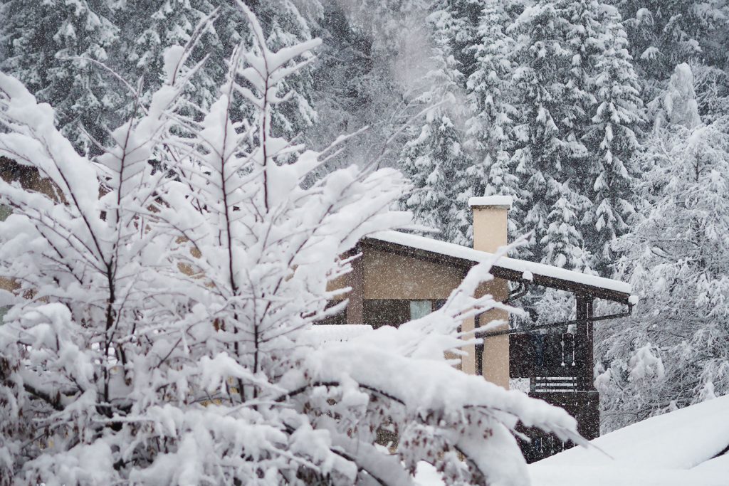 Vergiss nicht zu leben!