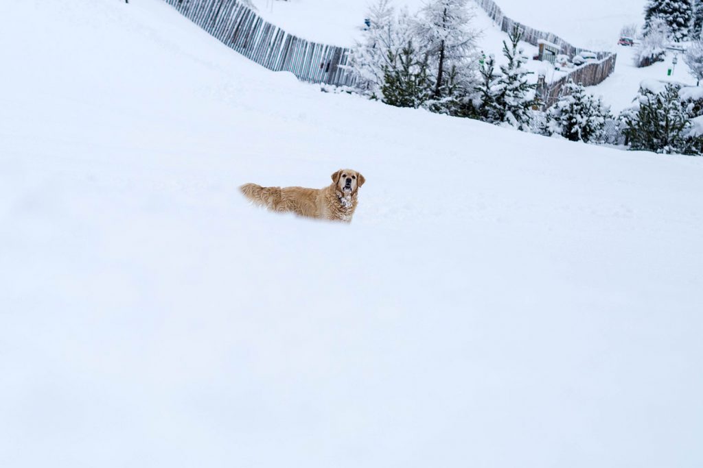 The home of style – Laax is nice, yo!