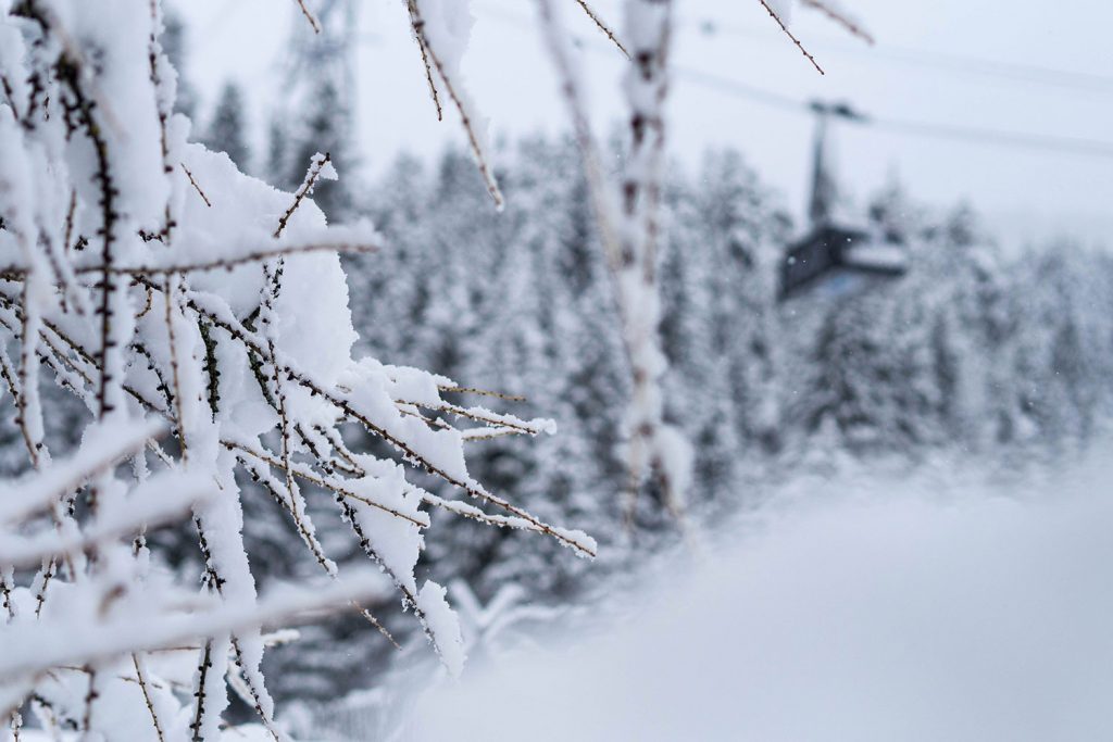 The home of style – Laax is nice, yo!