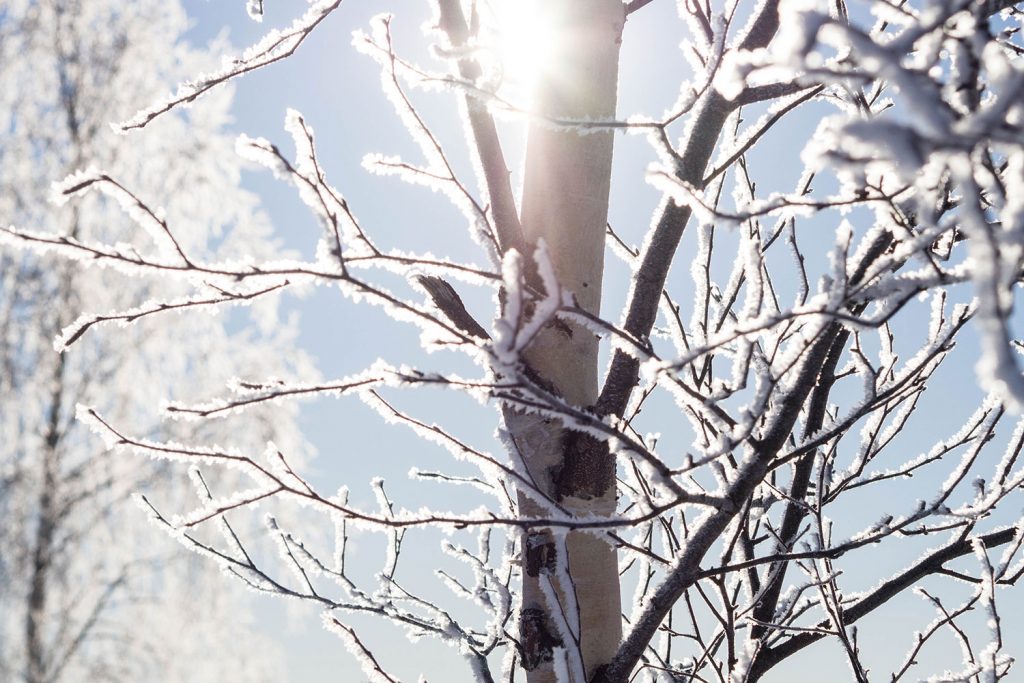 Was man (nur) in Lappland erleben kann