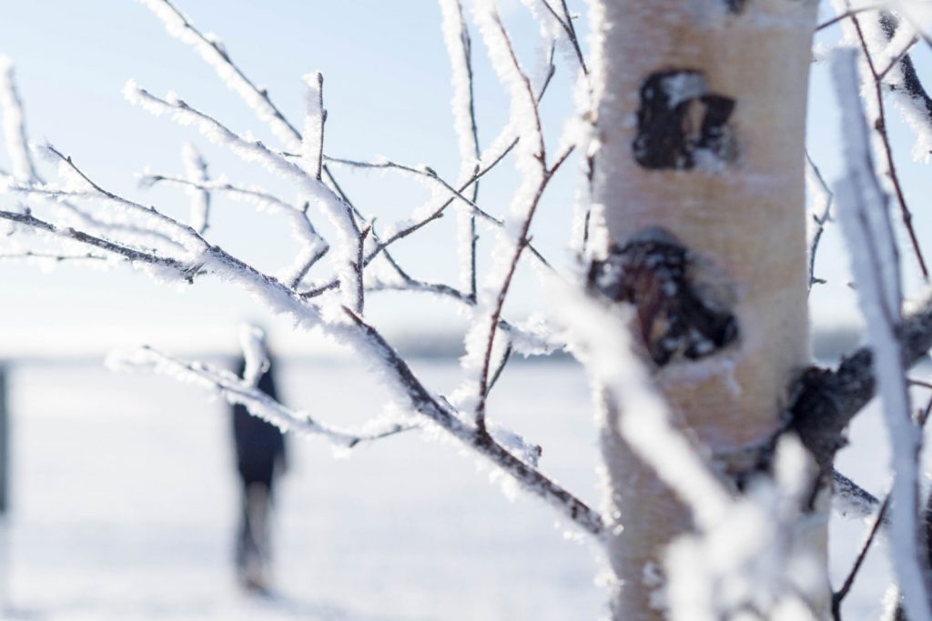 Was man (nur) in Lappland erleben kann