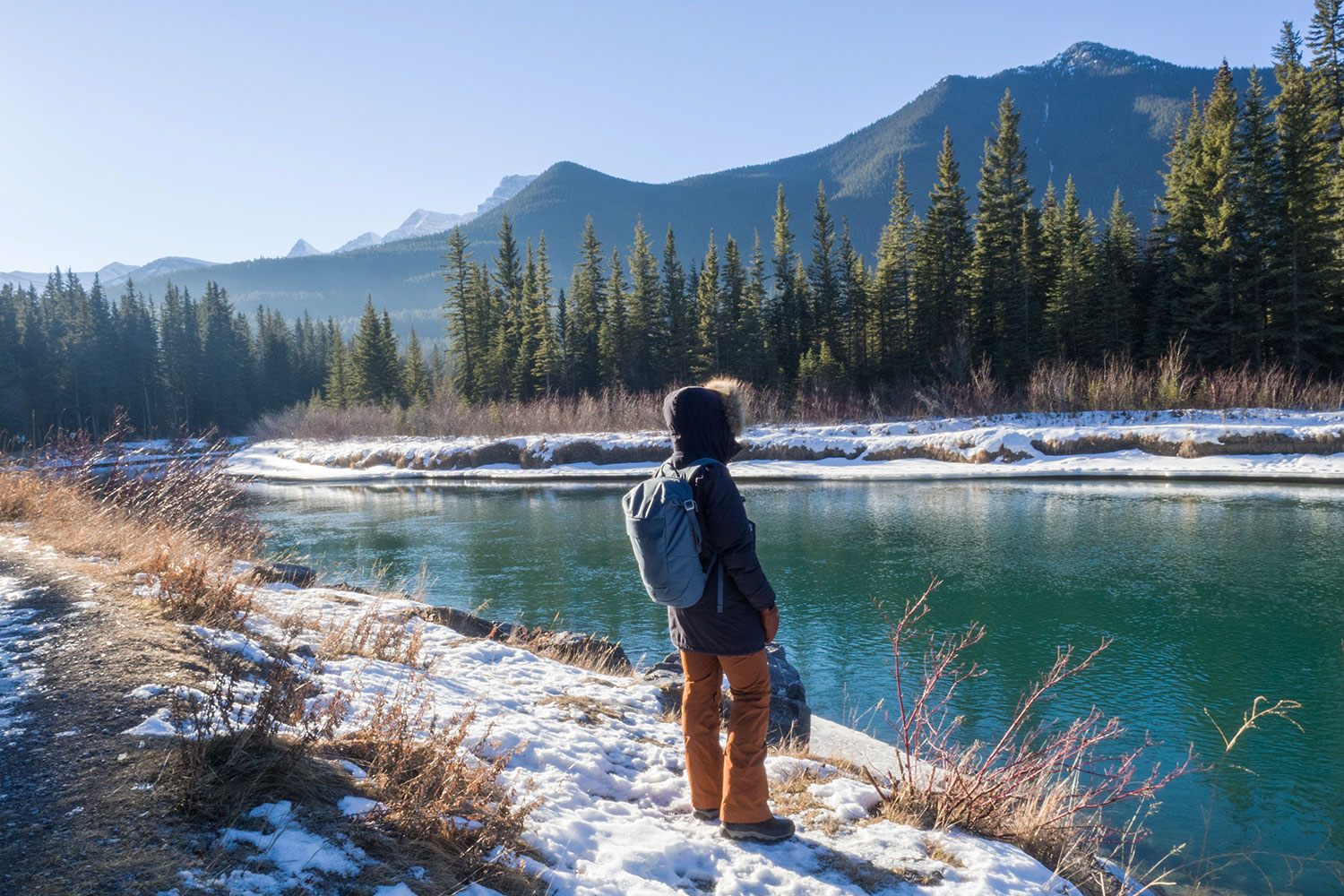 Von der Sehnsucht nach Freiheit
