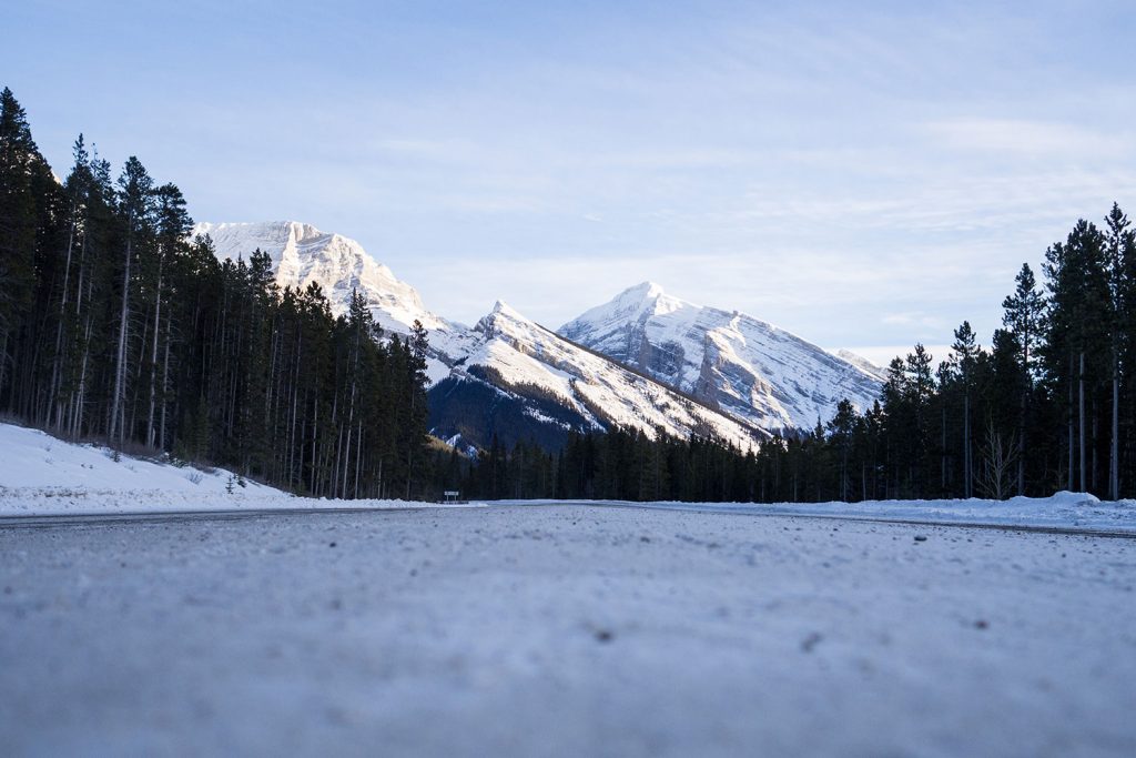 Von der Sehnsucht nach Freiheit