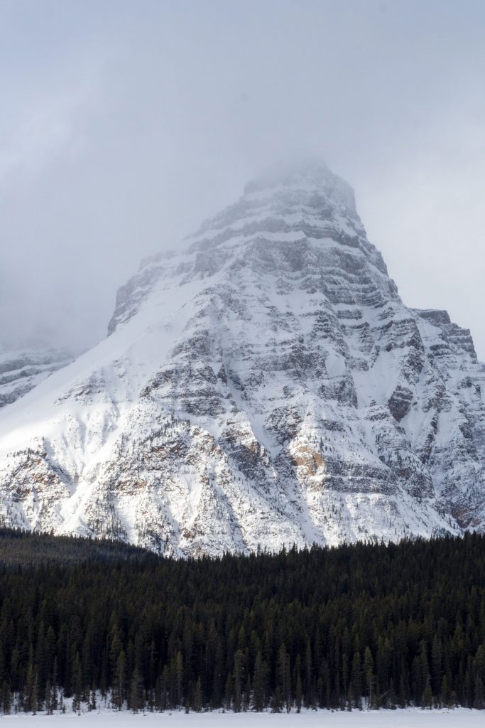 Von der Sehnsucht nach Freiheit