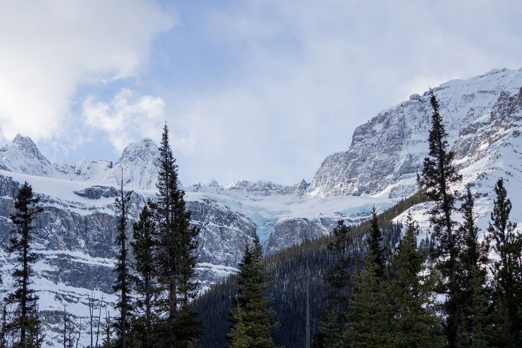 Von der Sehnsucht nach Freiheit