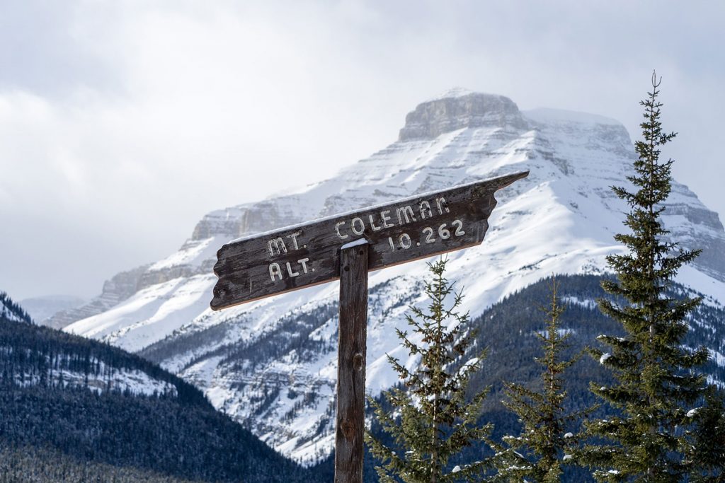 Von der Sehnsucht nach Freiheit