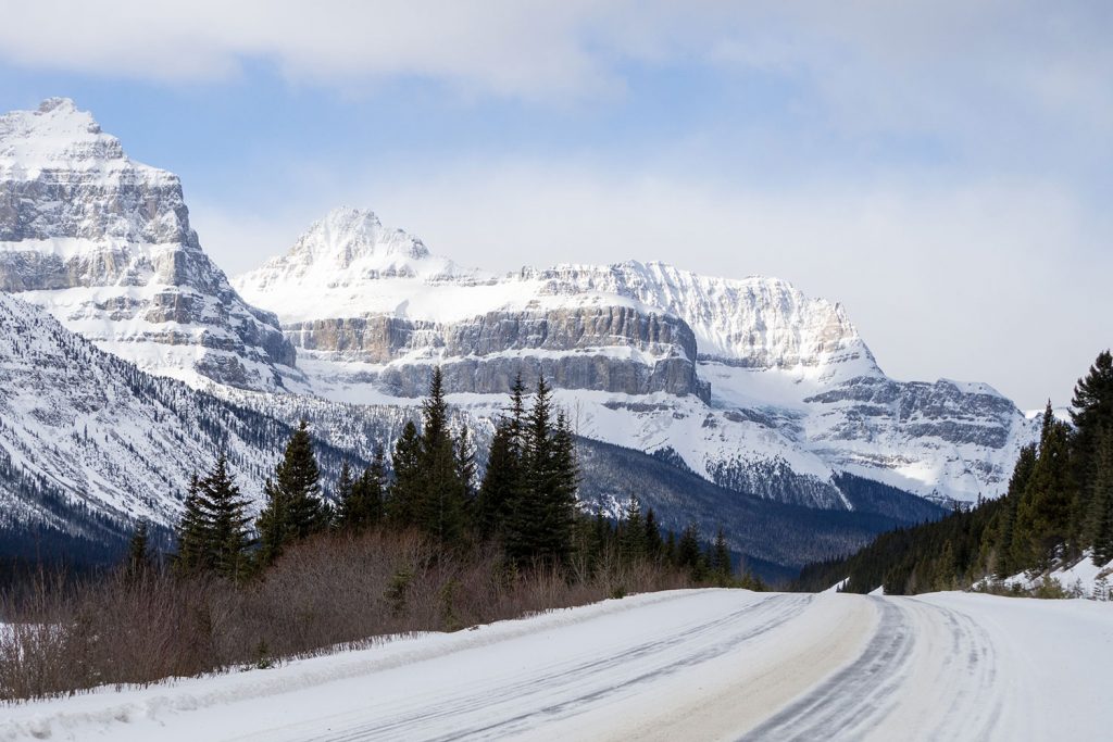 Von der Sehnsucht nach Freiheit