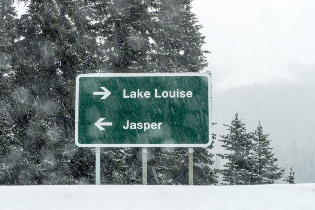 Von der Sehnsucht nach Freiheit