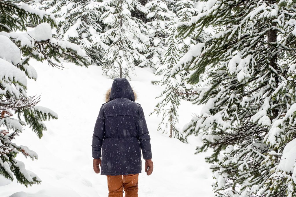 Von der Sehnsucht nach Freiheit