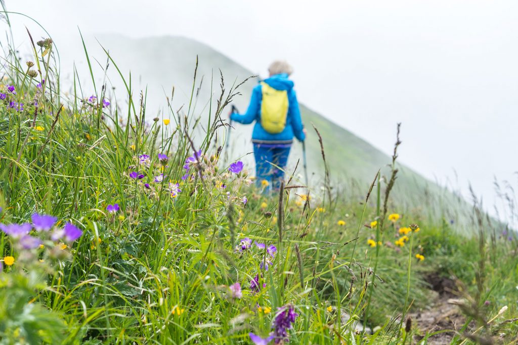 Bähnli-Safari mit dem Sohn